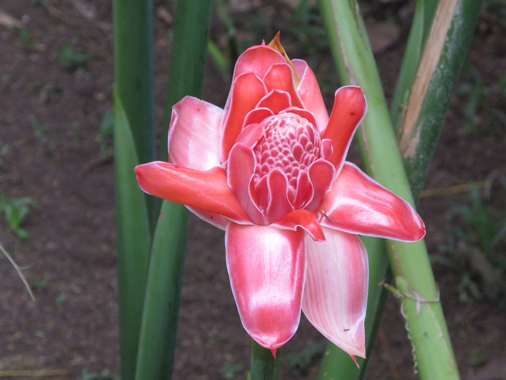20140404-164647.jpg