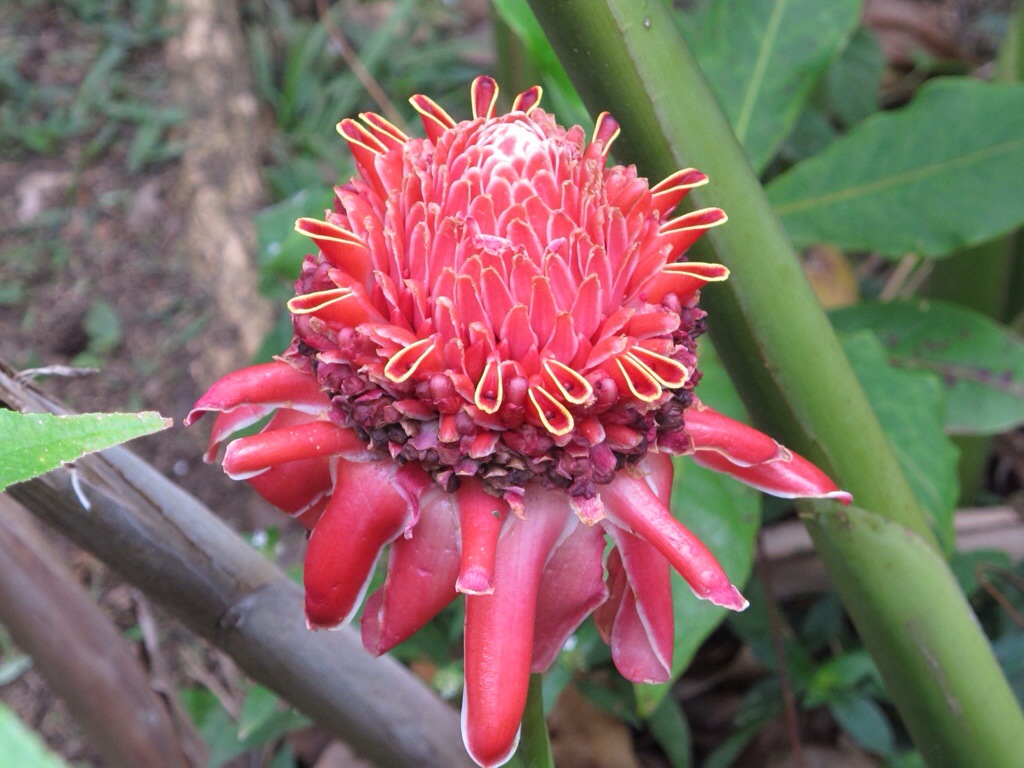 20140404-164705.jpg