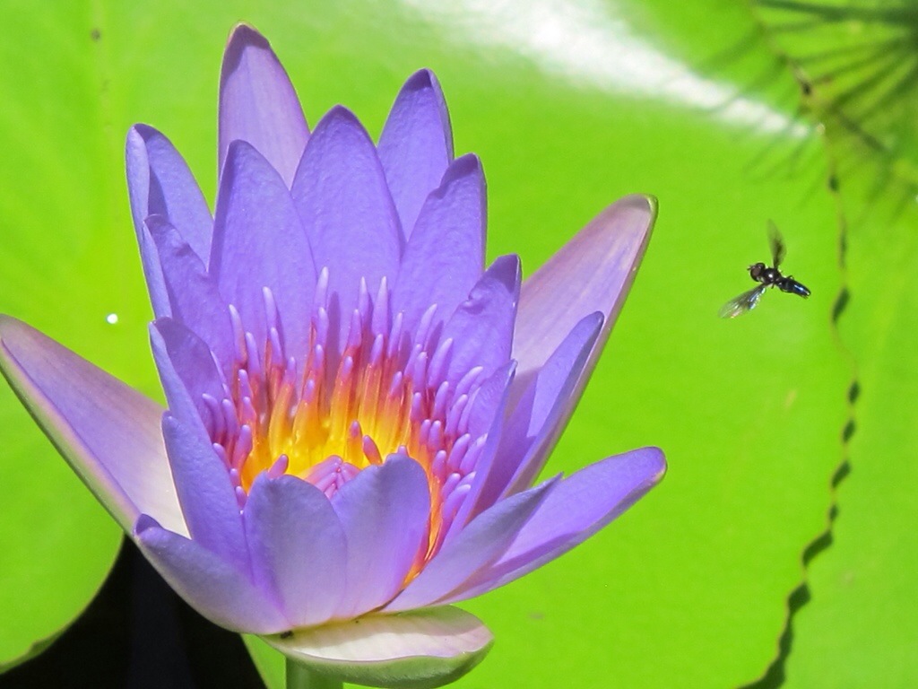 20140404-164726.jpg