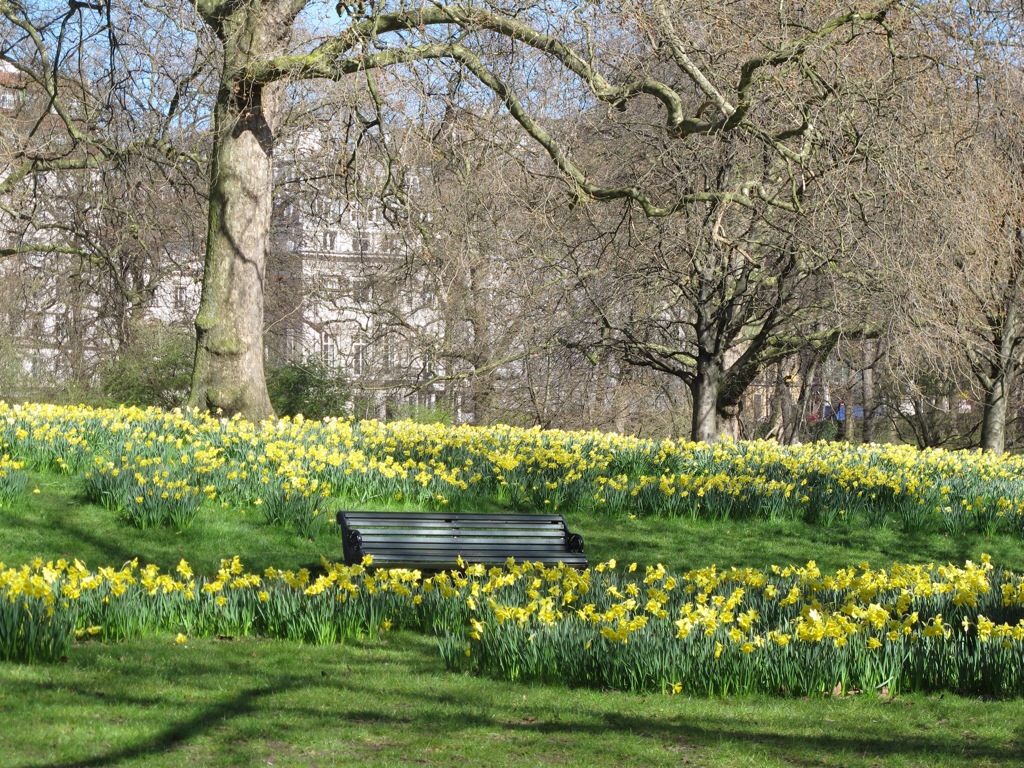 20140404-170754.jpg